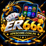 ER 666 Game Logo