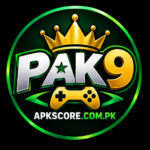 PAK9 Game Logo